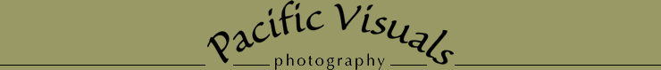 Pacific Visuals photography